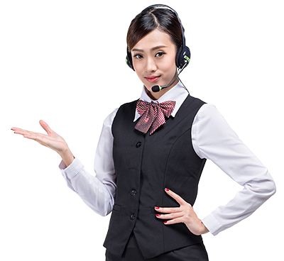 联系大森林